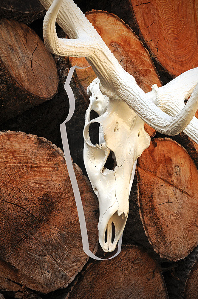 Schreinerei TEKO – München und Dachau – Hirschgeweih lackiert